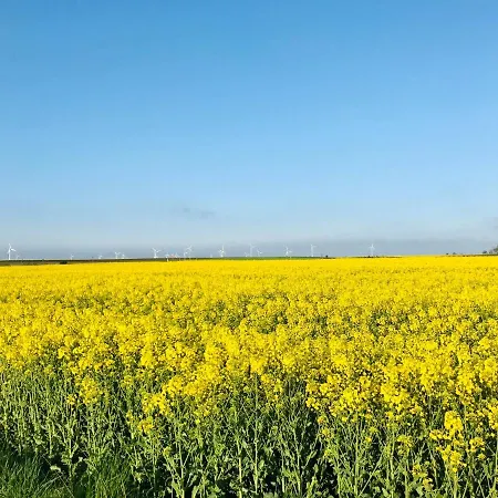 I Caloroczne Koliber Village de vacances Władysławowo