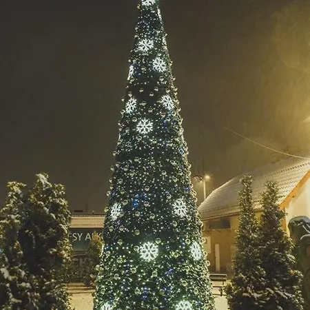 I Caloroczne Koliber منتزه العطل