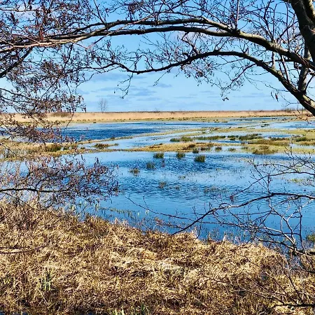 I Caloroczne Koliber Semesterpark