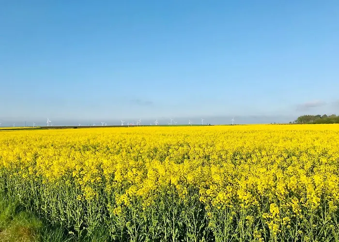 I Caloroczne Koliber Ferienpark Władysławowo