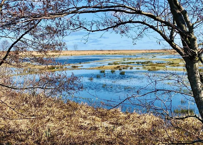 I Caloroczne Koliber Ferienpark
